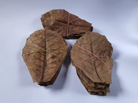 INDONÉSIE EXTRAIT DE PLANTE SOINS DE SANTÉ NOUVEAU PRODUIT DE HAUTE QUALITÉ VENDANT CATAPPA OU FEUILLES SÉCHÉES D'AMANDES INDIENNES