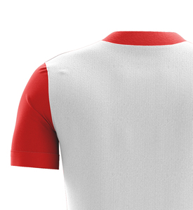 Maglietta a sublimazione da uomo della squadra <span class=keywords><strong>di</strong></span> <span class=keywords><strong>calcio</strong></span> con stampa Logo, - Product Image 4