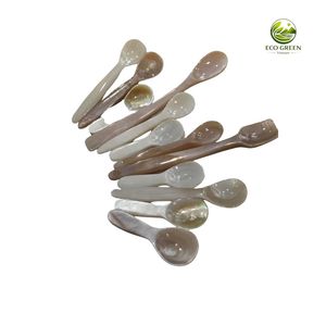 Cuillère à café en nacre naturelle, cuillère en coquillage faite à la main, manche en résine colorée, écologique, cuillère à dessert moderne de luxe Ho Chi - Product Image 4