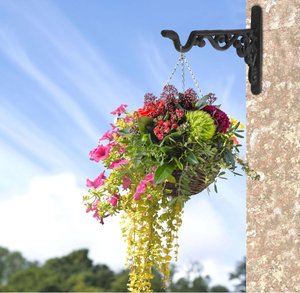 Tùy Chỉnh Đúc Sắt Tường Móc Nhà Máy Móc Treo Chân Đế Cho Các Nhà Máy Hoa Chậu Chim Ăn & Chuông Gió Home & Vườn Trang Trí Nội Thất - Product Image 1