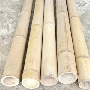 Estacas de Bambú Natural \ Versátiles, Resistentes y Fáciles de Trabajar |   Ideal para Jardín y Uso en Exteriores - Product Image 3