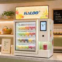 Haloo Commerciële Desktop Smoothie Machine Tafelmodel Smoothie Automaat Smoothie Automaat Diepvries Fruit