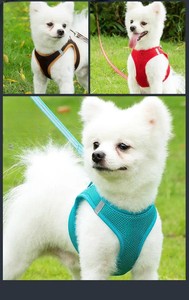 Harnais pour chien de type gilet en polyester à motif animal, réglable avec clochette, pour chiens à poils longs, fabriqué au Vietnam - Product Image 6