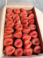 Dattes séchées en vrac du Vietnam, fruits exotiques naturels de qualité supérieure pour garnitures de yaourt, pâtisserie, confiserie, infusion de thé et cuisine gastronomique