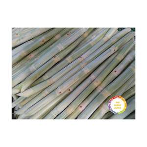 PURE NATURAL FROZEN SUGARCANE JUICE FROM VIETNAM SWEET TROPICAL DRINK READY TO USE WHOLESALE - Product Image 5