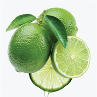 Prix PAS CHER HAUTE QUALITÉ FRAIS SANS GRAINES 2023/Lime sans pépins frais Vietnam/CITRON VERT en gros