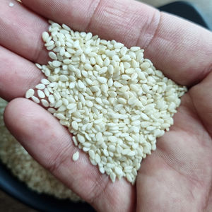 งาดำ99.95% การบริโภคของมนุษย์สำหรับทาฮินีจากงาทาฮินีอินเดีย - Product Image 2