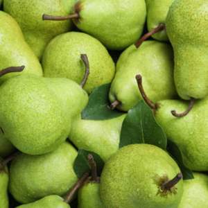 Poires fraîches de qualité supérieure, de classe I, de qualité d'exportation, douces et juteuses, poires de conférence, riches en fibres, vente en gros, expédition mondiale en chaîne du froid - Product Image 4