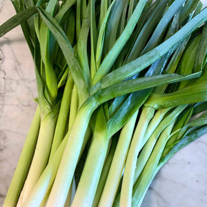 ผักต้นหอม - Product Image 3