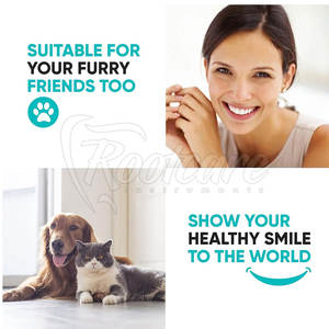 Kits de Exploración Dental de Acero Inoxidable Alemán de Alta Calidad, Kits de Exploración Más Vendidos - Product Image 6