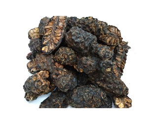 Proveedor de Fruta de Noni Seca Premium de Vietnam, Rebanadas Naturales de Morinda Citrifolia para Minoristas y Propietarios de Marcas, Fruta de Noni Seca - Product Image 4