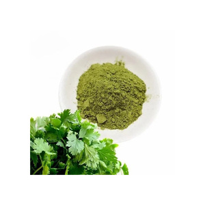 Fábrica de suprimentos 100% pura boa qualidade coentro folha pó e salsa pó cru seco preço por atacado