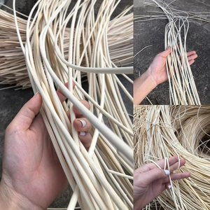 Competitive Priced Hand <b>Bleached</b> Raw Dried Rattan for Agriculture Supplying Bao Tram Anh - Product Image 2