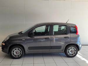 FIAT PANDA 0.9 TWINAIR EASY 2021 USADO, Volante a la Izquierda/Derecha - Product Image 4