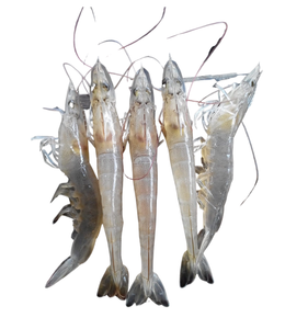 Offre Spéciale du Vietnam Variété de crevettes Vannamei Prix entier Congelé Litopenaeus Vannamei Export Spécialisé dans l'exportation de l'UE - Product Image 2