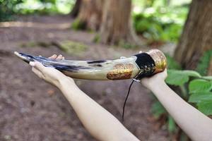 Cuerno para beber natural vikingo con moldura dorada de latón y soporte de cuero de alta calidad - Product Image 2