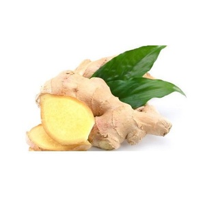 Jengibre fresco orgánico natural de la mejor calidad a precio de oferta / jengibre fresco de nueva cosecha - Product Image 1