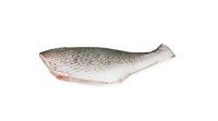 Poisson croaker frais congelé prêt pour l'achat en gros destiné aux marchés de détail et de services alimentaires