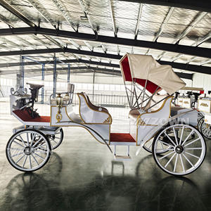Chariot électrique <span class=keywords><strong>de</strong></span> tourisme <span class=keywords><strong>de</strong></span> luxe sans cheval avec <span class=keywords><strong>barre</strong></span> lumineuse Capacité pour 6 personnes Vitesse 40 Km/h Pneus pneumatiques/solides - Product Image 6