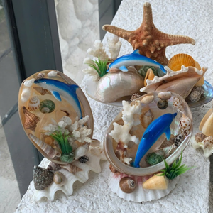 Coquillages décoratifs de qualité supérieure |   Couleurs naturelles et aspect artistique |   Décoration côtière en gros - Product Image 3
