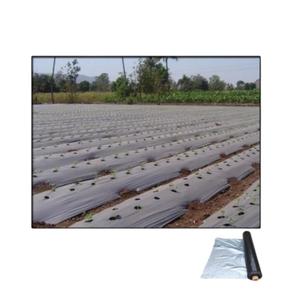 Film de paillis noir HDPE d'approvisionnement direct d'usine Film de protection des cultures d'épaisseur de 20 microns pour la vente à l'exportation - Product Image 1