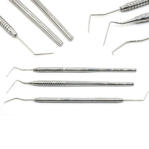 Herramienta de sonda Dental Manual de un solo cabezal, accesorio de acero inoxidable para escalador de higiene, instrumento de selección Dental a la venta personalizado - Product Image 1
