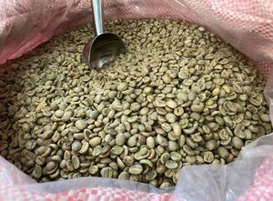 Vietnam Premium Robusta Green <b>Coffee</b> <b>Beans</b> Whole <b>Bean</b> with Rich Bold Flavor Bulk Supply for Roasters - Product Image 4