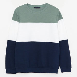 Venta al por mayor poliéster/algodón hombres cuello redondo sudaderas bloque raya Color 3D bordado peso pesado ecológico Casual invierno - Product Image 6