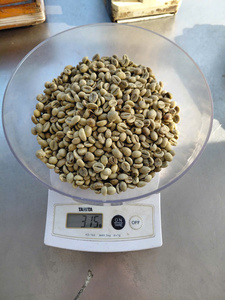 Café Vert Robusta PHALCO de Haute Qualité Grade 1 Tamis 16/18 Vietnam Meilleur Prix Prêt à l'Exportation Emballage Sac de Jute 1000kg - Product Image 1