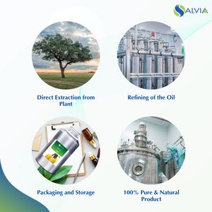 100% Huile essentielle de marula pure et naturelle en vrac en gros avec emballage personnalisé à bas prix - Product Image 4