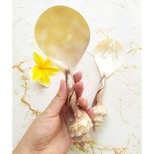 Juego de Servir Ensaladas de Nácar y Conchas Marinas de Alta Calidad, Ecológico, Apto para Lavavajillas, Regalo de Inauguración, Utensilios para Ensaladas - Product Image 2