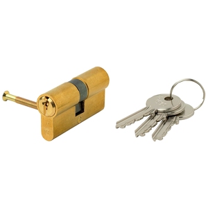 Cilindro Europeo Iseo F5 30x30 in Ottone con Leva Lunga - Product Image 1