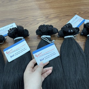 เครื่องต่อผมมนุษย์บริสุทธิ์เวียดนามผมทอสองชั้นธรรมชาติตรงทุกสี - Product Image 4