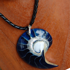 Collar de Conchas Naturales, Cuentas de Resina, Joyería de Conchas Marinas, Motivo de Concha Tallada para Regalo, Forma/Patrón Animal - Product Image 1