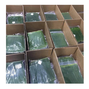Hojas de plátano congeladas Hoja de plátano congelada de color verde fresco Perfecta para soluciones de envoltura de alimentos naturales - Product Image 5
