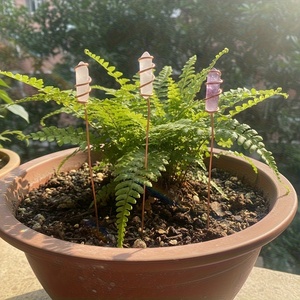 Paquete de 6 Mini Estacas para Plantas de Material EVA con Atrapasoles de Cristal Coloridos - 8 Pulgadas, para Interiores/Exteriores, para Plantas en Maceta - Product Image 3