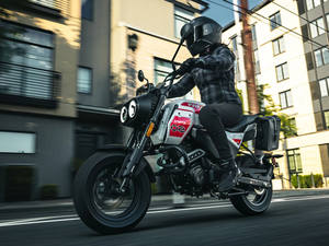 Ventes annuelles 2026 Papio CL Neuf (Motocyclette) à vendre - Product Image 6