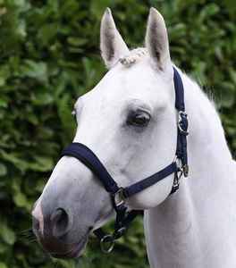 Durable Horse <b>Head</b> Collar Traditional English <b>Style</b> Comfortable Fit for Daily Training and Riding Horse <b>Head</b> Collar OEM Service - Product Image 1