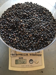 [Mẫu miễn phí] Giá cả cạnh tranh và chất lượng hàng đầu Việt Nam Hạt tiêu đen Ngô 500gl 550gl 570gl 580gl 5mm - Product Image 5