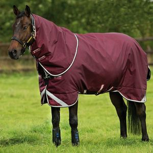 Manta de Invierno para Caballo, Impermeable y Transpirable, 1200D, para Doma Clásica, con Forro de Plumas, 2 Correas para las Patas, Ligera y de Lujo - Product Image 1