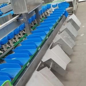 Автоматическая высокоскоростная ленточная конвейерная система для сортировки по весу: сортировочная машина для курицы, яиц, креветок, рыбы, фруктов по выгодной цене - Product Image 3