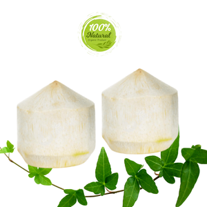 La polyvalence de la noix de coco pelée au diamant dans les aliments et les boissons - Product Image 5