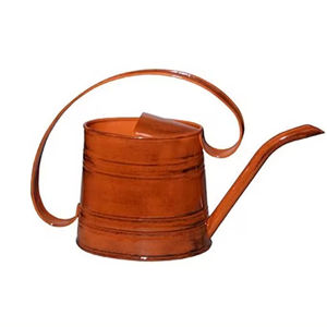 Arrosoir style vintage outils de jardin enfants galvanisé Mini arrosoir sécurité santé métal arrosoir prix de gros - Product Image 1