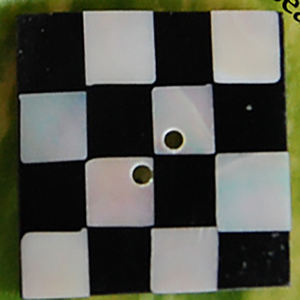 Botón de Concha Natural de SEASHELL JEWELRY, Artesanía Natural, Botón de Concha Pulida con Motivo de Concha Marina, Mosaico Crudo - Product Image 4