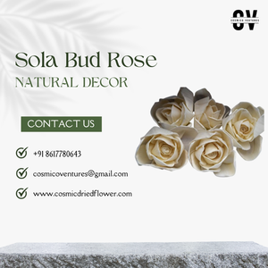 Fleur de rose en sola naturelle de qualité supérieure populaire pour les événements romantiques de mariage, la décoration de la maison et du bureau, fournisseur en gros - Product Image 5