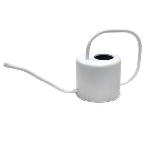 Arrosoir en métal au design industriel audacieux avec finition antique pour les arrangements artistiques de plantes et les jardins décoratifs - Product Image 1