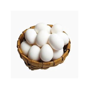 Huevos frescos confiables al por mayor, huevos de mesa premium, envío a granel listo para enviar - Product Image 6