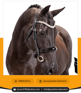 Bandas de alta calidad Princess Wave en negro Material de cuero a precio de fábrica al por mayor directo del proveedor - Product Image 4