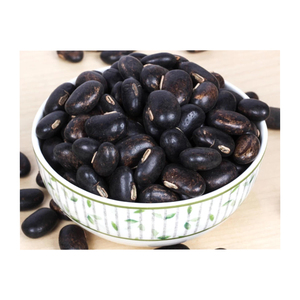 Herbojit International Great Supplier Best Quality Pure Natural Mucuna Pruriens (Kounch Seed) 5kg 18 Months <b>Shelf</b> Life Available - Product Image 2
