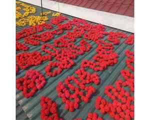 ลูกหวายตกแต่งทำด้วยวัสดุหวายสไตล์ใช้ในงานหัตถกรรมและของตกแต่งงานอีเว้นท์สำหรับผู้ซื้อทั่วโลก - Product Image 2